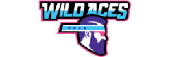 Wildaces เว็บตรง บาคาร่าออนไลน์ สล็อตเว็บตรง เล่นได้ผ่านวอเล็ท